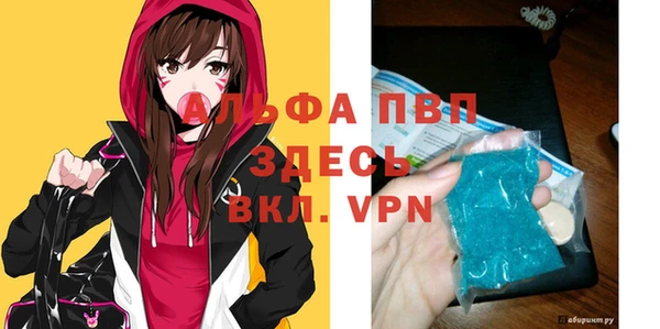круглые Тайга