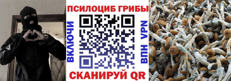 Галлюциногенные грибы MAGIC MUSHROOMS  Алапаевск 